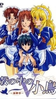 Kara no Naka no Kotori Episode 5